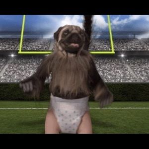 Meet your Posher, Jill